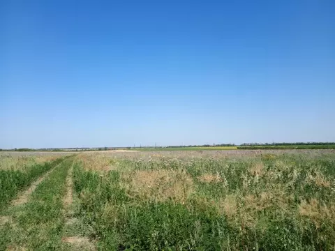 Участок в Краснодарский край, Ейск Красная Звезда СНТ, 21 (6.46 сот.)