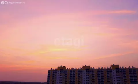 Квартира-студия: Новосибирск, улица Твардовского, 22/5 (19.3 м)