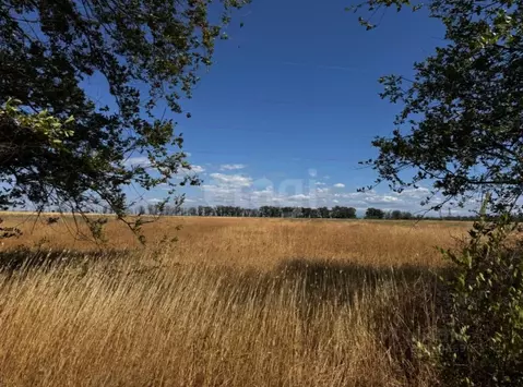 Участок в Крым, Симферопольский район, Николаевское с/пос, с. ...