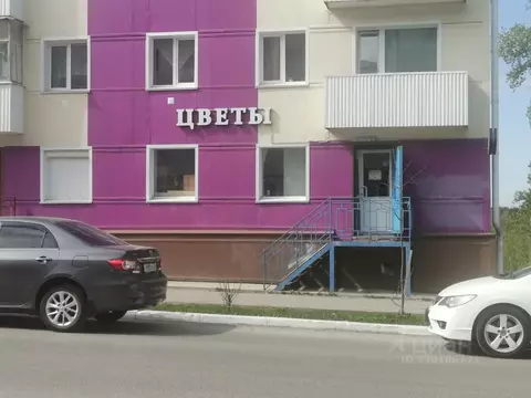 Помещение свободного назначения в Пермский край, Губаха просп. Ленина, ...