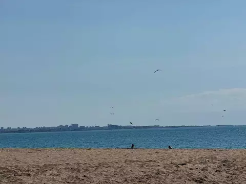 Участок в Севастополь пер. Пушкарский, 10 (4.0 сот.)