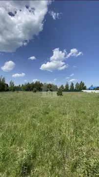 Участок в Ярославская область, Некрасовский муниципальный округ, с. ...