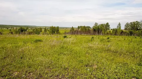 Участок в Тульская область, Веневский муниципальный округ, д. ...