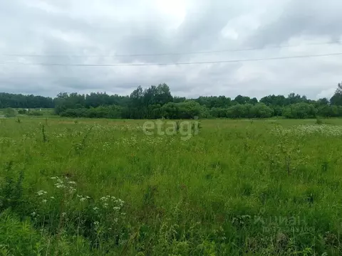 Участок в Калужская область, Боровский муниципальный округ, Совьяки ...