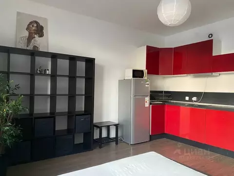 Студия Санкт-Петербург аллея Арцеуловская, 23к1 (25.0 м)