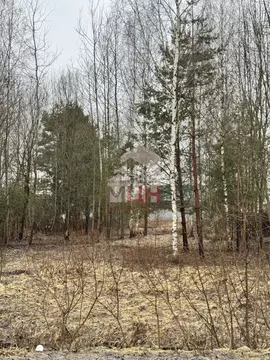 Участок в Тверская область, Конаковский муниципальный округ, д. ...