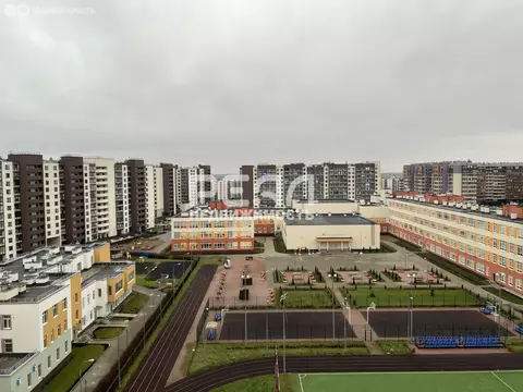 Квартира-студия: Санкт-Петербург, проспект Ветеранов, 171к4 (25.5 м)