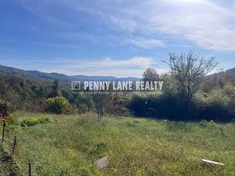 Участок в Краснодарский край, Сочи городской округ, с. Каштаны, ...