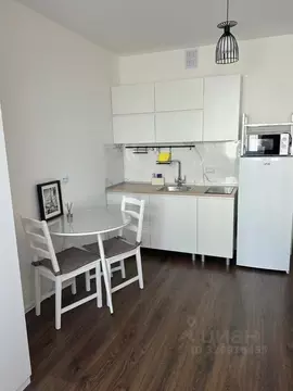 Студия Санкт-Петербург дор. Муринская, 31к1 (20.0 м)