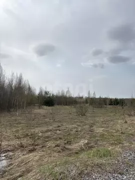 Участок в Нижегородская область, Выкса ул. Виноградова, 39 (9.04 сот.)