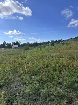 Участок в Бурятия, Тарбагатайский район, Саянтуйское с/пос, с. Нижний ...
