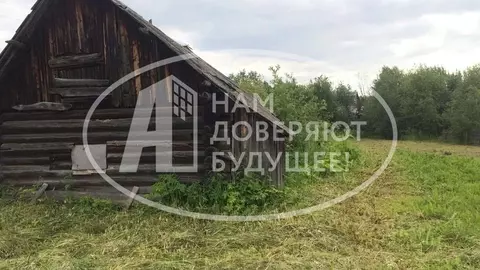 Участок в Пермский край, Чусовской городской округ, Калино рп ул. ...