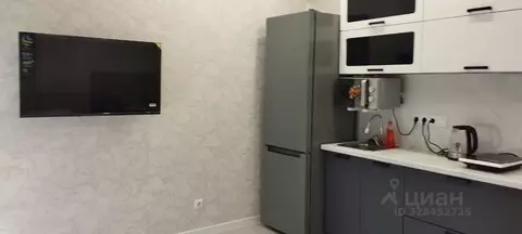 Студия Краснодарский край, Сочи Пластунская ул., 104Бк3 (22.4 м)