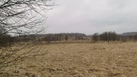 Участок в Московская область, Рузский муниципальный округ, д. ...