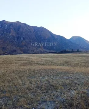 Участок в Алтай, Онгудайский район, с. Инегень Центральная ул., 15 ...