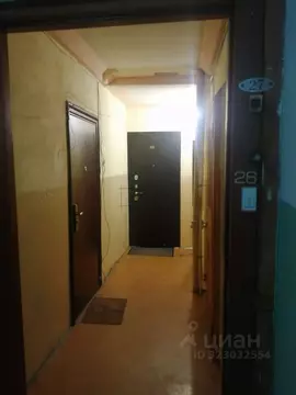 2-к кв. Новосибирская область, Новосибирск ул. Бориса Богаткова, 228 ...