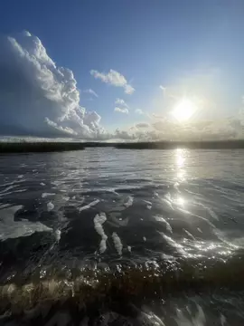 Участок в Ленинградская область, Выборгский район, Полянское с/пос, ...