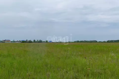 Участок в Тюменская область, Тюмень  (6.0 сот.)