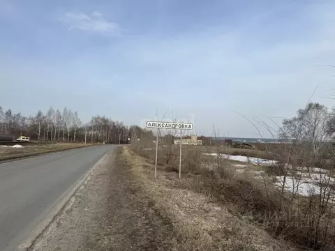 Участок в Мордовия, Лямбирский район, с. Александровка ул. В.Г. ...