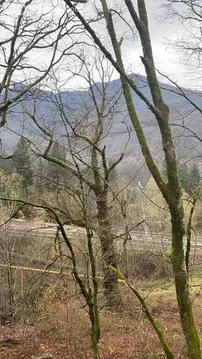 Участок в Сочи, Костромская улица, 32 (1000 м)