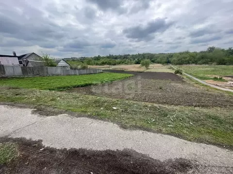 Участок в Белгородская область, Белгородский район, с. Стрелецкое, с. ...
