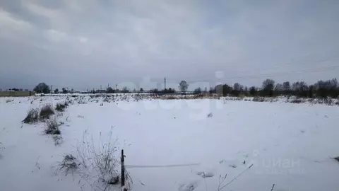 Участок в Костромская область, Костромской район, Шунгенское с/пос, с. ...