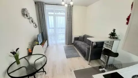 Студия Москва № 160 кв-л, 1Вк1 (25.0 м)