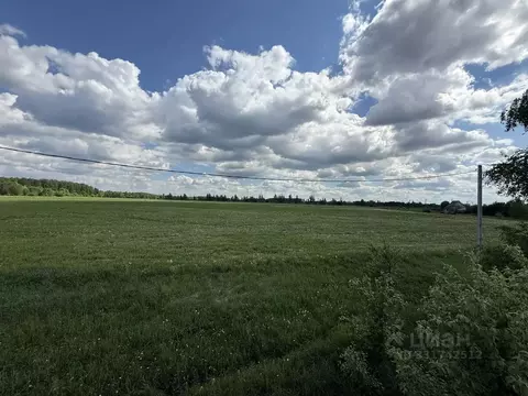 Участок в Московская область, Кашира городской округ, д. Зубово  (4.1 ...