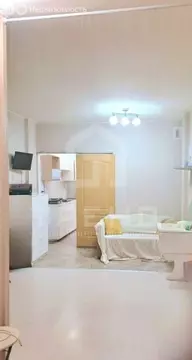 Квартира-студия: Санкт-Петербург, Туристская улица, 10к1 (34.4 м)