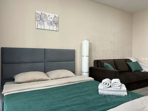 1-к кв. Татарстан, Казань ул. Родины, 26Б (29.0 м)