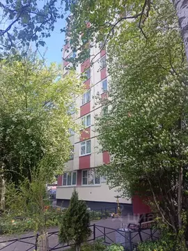 2-к кв. Санкт-Петербург ул. Пионерстроя, 19К2 (45.09 м)