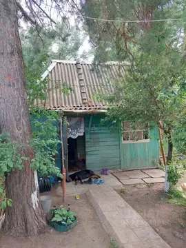 Дом в Оренбургская область, Оренбург Урал-2 СНТ, ул. Березовая (33 м)