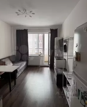 Студия Санкт-Петербург ул. Орбитальная, 3 (24.0 м)