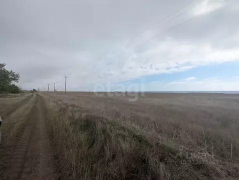 Участок в Крым, Черноморский район, Окуневское с/пос, с. Марьино  ...