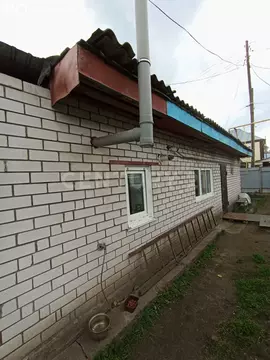 Дом в Барнаул, улица Ульяны Громовой, 13 (50 м)