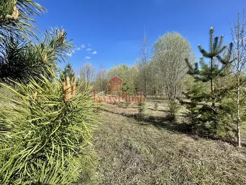 Участок в Владимирская область, Александровский муниципальный округ, ...