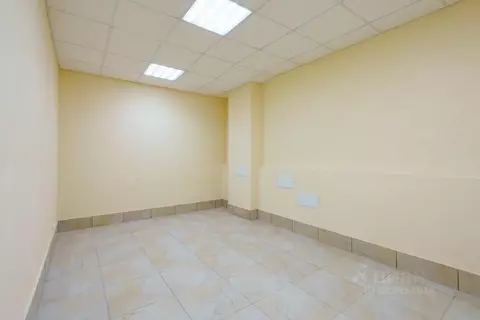 Офис в Санкт-Петербург Ординарная ул., 21 (17 м)