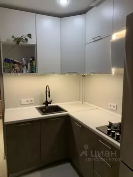 1-к кв. Санкт-Петербург, Санкт-Петербург, Пушкин ул. Генерала Хазова, ...