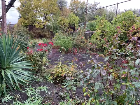 Участок в Ростовская область, Ростов-на-Дону ул. Шевченко, 22А (3.0 ...