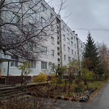 2-к кв. Ульяновская область, Ульяновск Вольная ул., 2 (48.0 м)