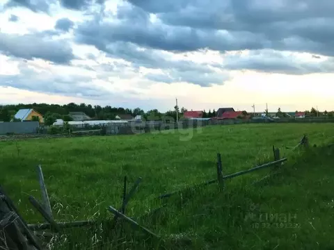 Участок в Новосибирская область, Ордынский район, с. Спирино ул. ...