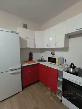 Студия Татарстан, Казань ул. Родины, 33Бк1 (31.0 м)