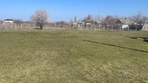 Участок в Крым, Кировский район, Абрикосовское с/пос, с. Кринички ул. ...