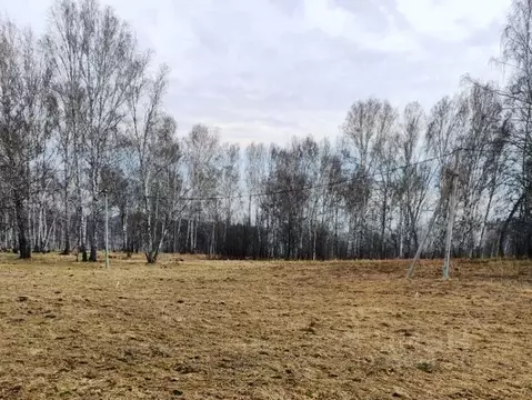 Участок в Новосибирская область, Новосибирский район, Станционный ...
