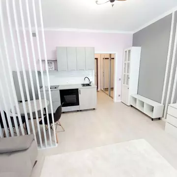 Студия Московская область, Красногорск ул. Липовой Рощи, 6к2 (30.0 м)