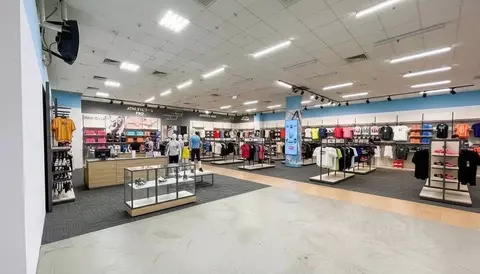 Торговая площадь в Санкт-Петербург Коломяжский просп., 17к1 (1253 м)