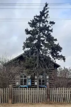 Дом в Бурятия, Заиграевский район, Онохой городское поселение, Онохой ...