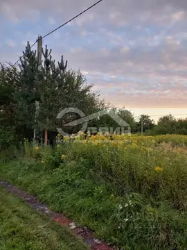 Участок в Калининградская область, Калининград Родник СНТ, ул. Дачная ...
