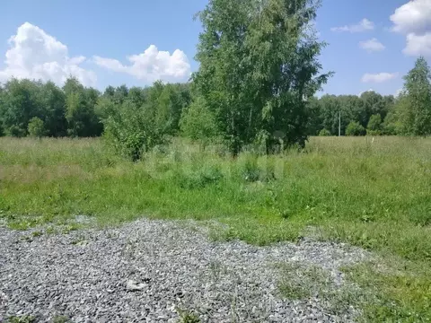 Участок в Новосибирская область, Искитимский район, с. Морозово ...
