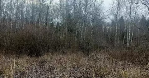 Участок в Московская область, Дмитровский муниципальный округ, д. ...